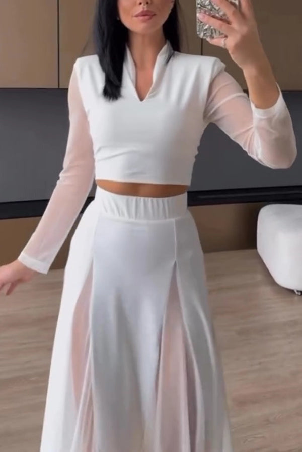 Feeling Chic Mesh Long Sleeve Crop Stretch Top